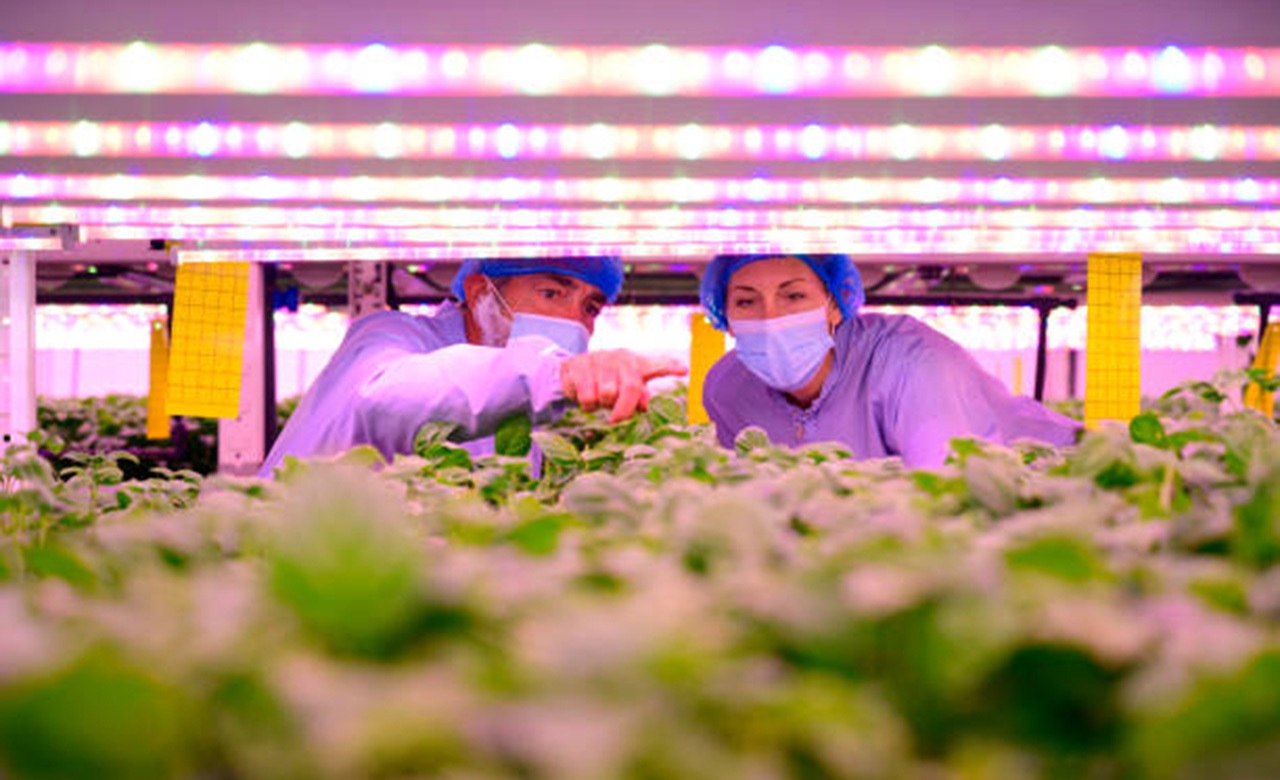 Plant Science Futures